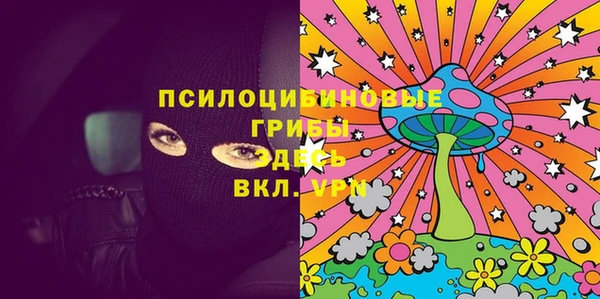 винт Алзамай