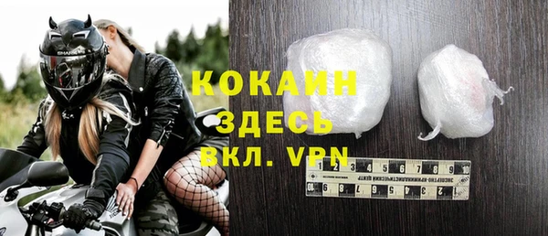 винт Алзамай