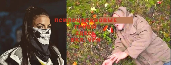винт Алзамай