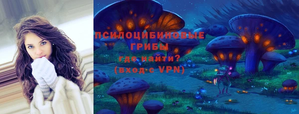 винт Алзамай