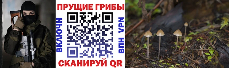 купить наркоту  Ханты-Мансийск  Псилоцибиновые грибы GOLDEN TEACHER 
